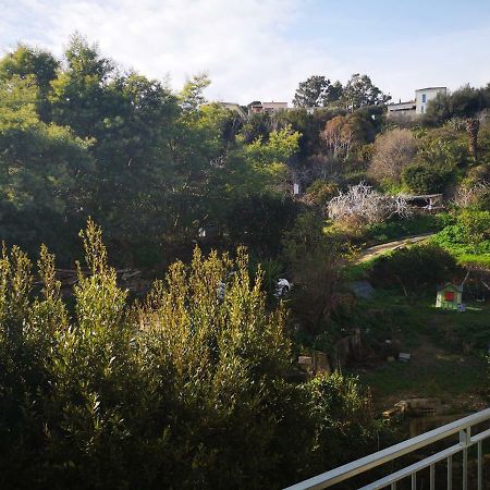 Appartement Rue Colonella Proche Citadelle バスティア エクステリア 写真